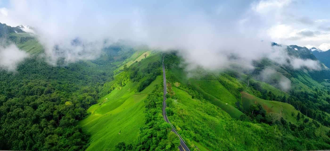 Munnar Tea Gardens Kerala Tour