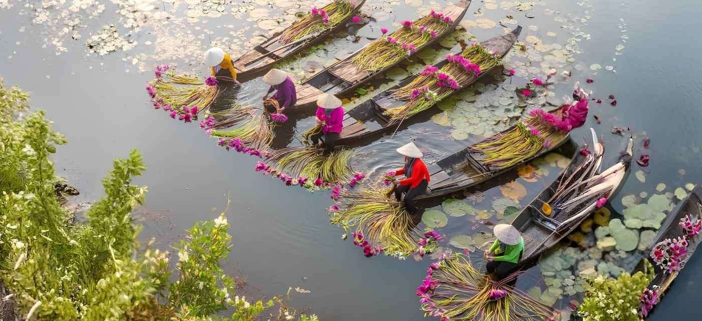 Mekong Delta Vietnam Boat Tour and Scenic Waterways