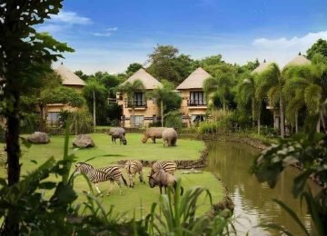 Bali Zoo Park Family Tour and Travel Package