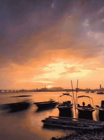 Cochin Munnar Kerala Tour
