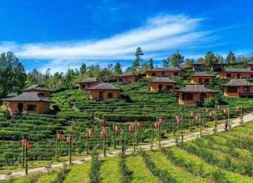 Darjeeling West Bengal Himalayan Mountain View