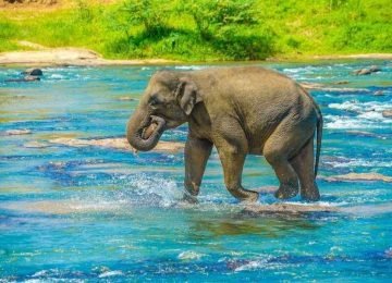 Elephanta Beach Andaman Island Tour Travel Package