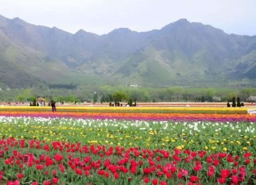 Gandhi Memorial Tulip Garden Srinagar Kashmir