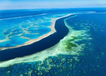 Great Barrier Reef Australia Marine Life and Travel Tour