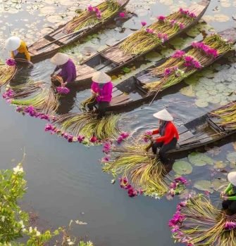 Mekong Delta Vietnam Boat Tour and Scenic Waterways