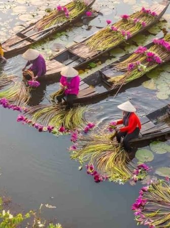 Mekong Delta Vietnam Boat Tour and Scenic Waterways