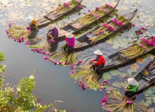 Mekong Delta Vietnam Boat Tour and Scenic Waterways