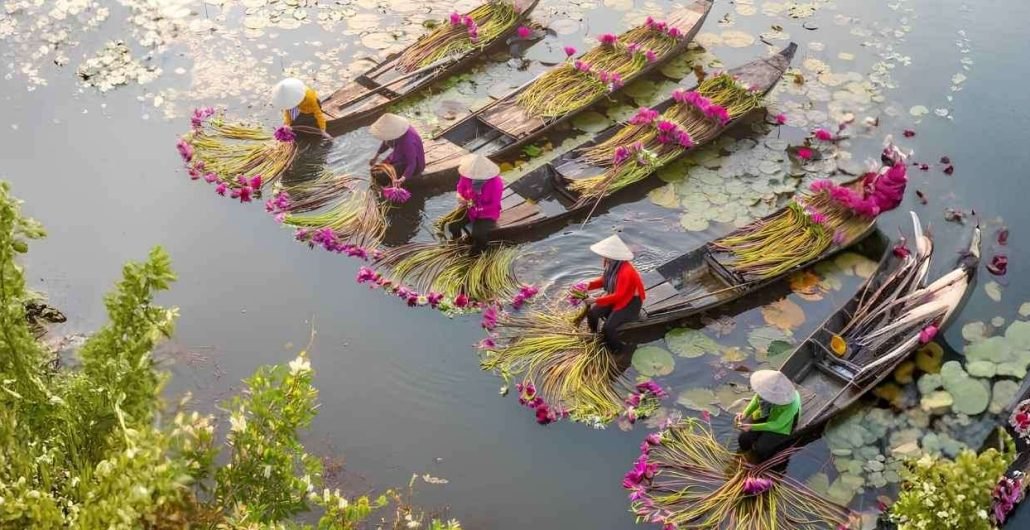 Mekong Delta Vietnam Boat Tour and Scenic Waterways