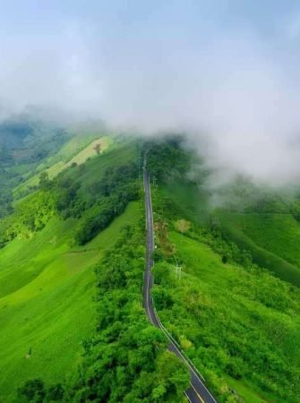 Munnar Tea Gardens Kerala Tour