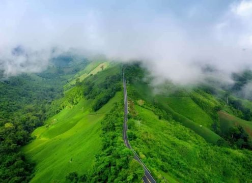 Munnar Tea Gardens Kerala Tour