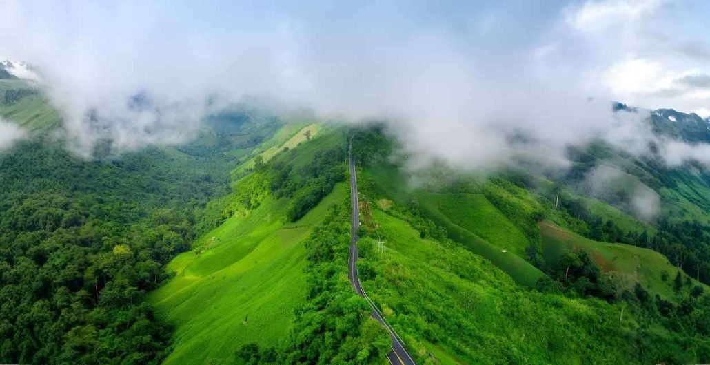 Munnar Tea Gardens Kerala Tour