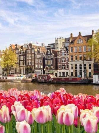 Netherlands Tour and Holiday Package