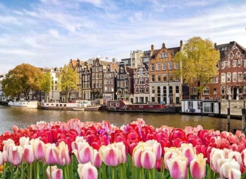 Netherlands Tour and Holiday Package