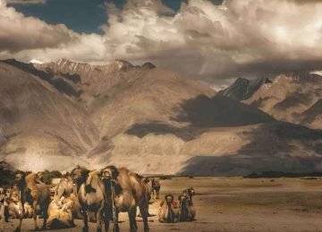 Nubra Valley Ladakh Himalayan Landscape