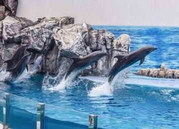 Safari World & Marine Park Bangkok Thailand Tour