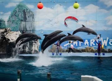 Safari World and Marine Park Bangkok Thailand