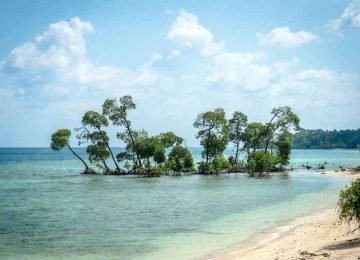 Swaraj Dweep Havelock Island Andaman Tour Package