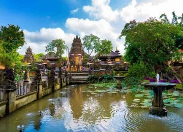 Ubud Bali Cultural Tour and Travel Package